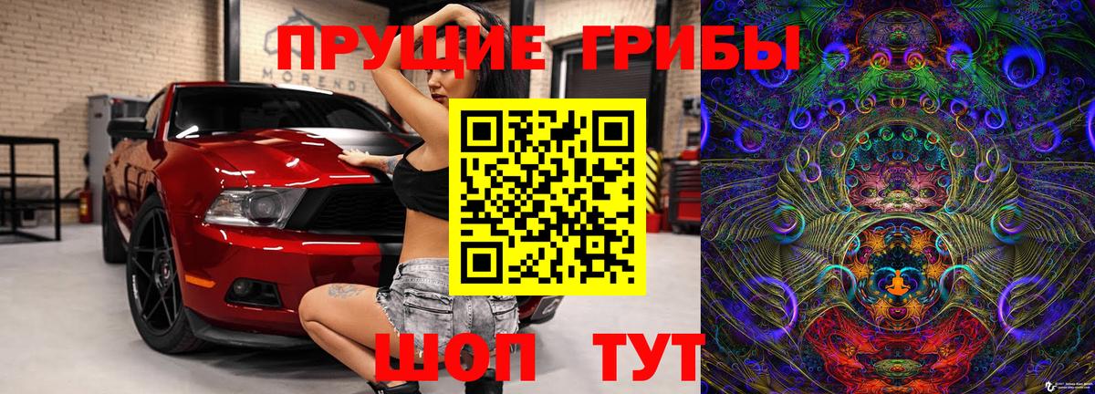 Галлюциногенные грибы Cubensis Новокубанск